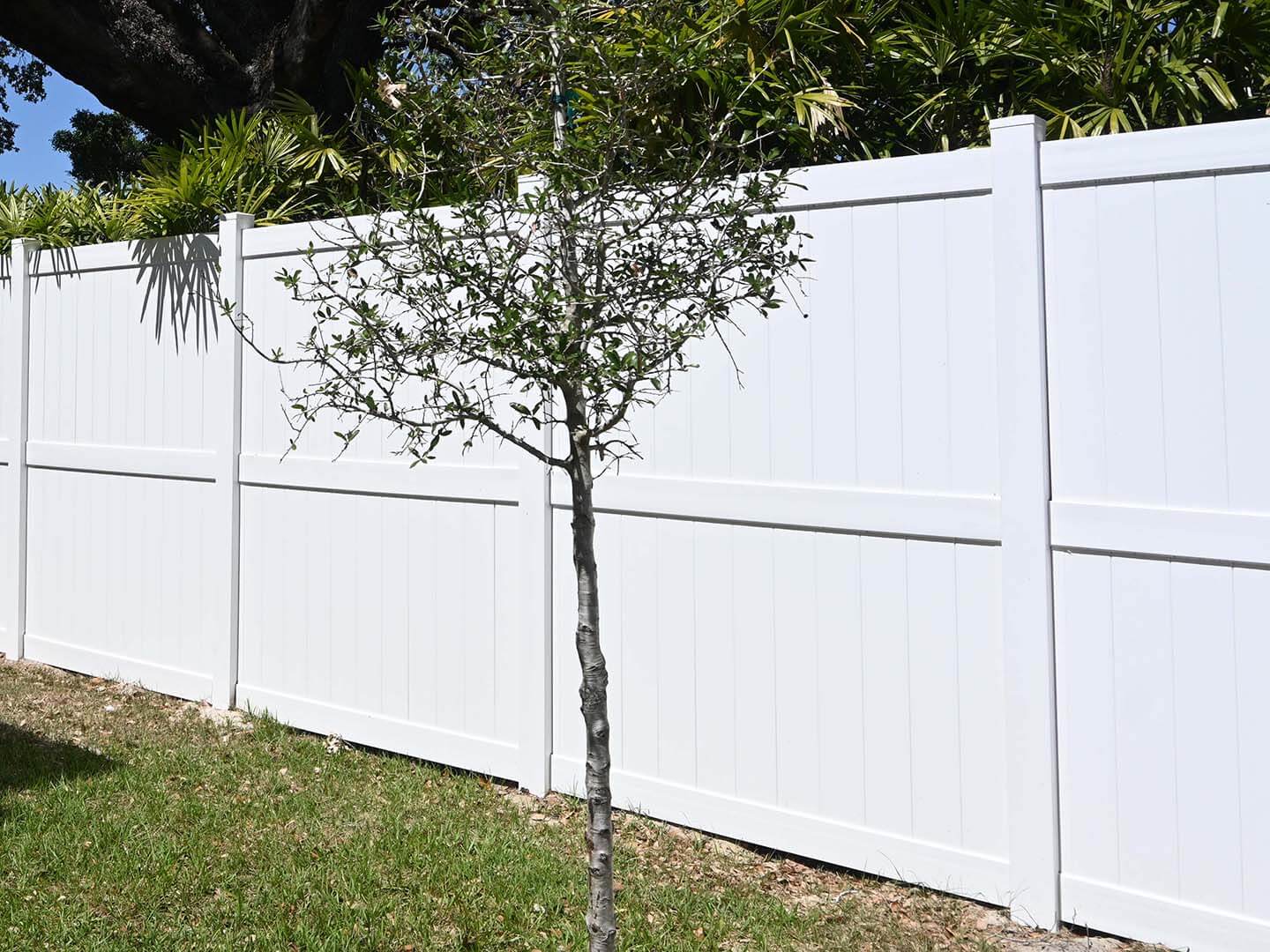 Tampa Florida Vinyl Fence